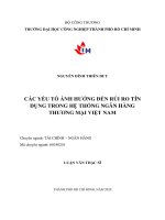 Các yếu tố ảnh hưởng đến rủi ro tín dụng trong hệ thống ngân hàng thương mại việt nam 