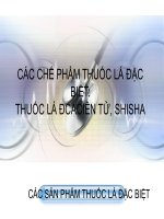 Bài giảng Các chế phẩm thuốc lá đặc biệt: Thuốc lá điện tử, shisha, các sản phẩm thuốc lá đặc biệt