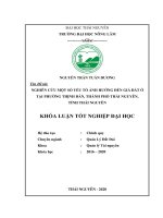 Nghiên cứu một số yếu tố ảnh hưởng đến giá đất ở tại phường thịnh đán thành phố thái nguyên tỉnh thái nguyên 