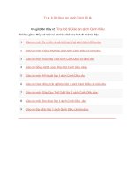 Trọn bộ 9 giáo án sách cánh diều 