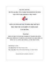 Khảo sát khả năng bảo quản fresh   cut thanh long bằng màng bao chitosan và sodium alginate bổ sung dịch chiết  vỏ mãng cầu ta ( annona squamosa l ) có hỗ trợ vi sóng 