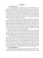Xây dựng hệ thống câu hỏi ôn tập phần cơ chế di truyền ở cấp độ phân tử nhằm nâng cao chất lượng ôn tập kỳ thi tốt nghiệp THPT quốc gia 