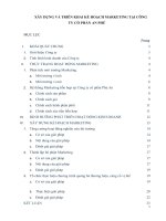  xây DỰNG và TRIÊN KHAI kế HOẠCH MARKETING tại CÔNG TY cổ PHẦN AN PHÚ 