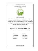 Nghiên cứu sinh trưởng và tình hình sâu bệnh hại một số loài thực vật thuộc họ đậu fabaceae trồng tại mô hình vườn thực vật khoa lâm nghiệp trường đại học nông lâm thái nguyên 