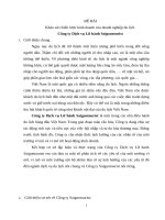 Khảo sát chiến lược kinh doanh của doanh nghiệp du lịch  Công ty Dịch vụ Lữ hành Saigontourist