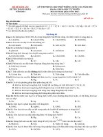 Đề 10  đề thi thử TN THPT môn hóa theo cấu trúc đề minh họa 2021 có lời giải