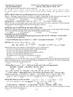 giai nhanh de hoa B 2011