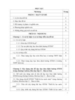 SKKN khơi nguồn cảm hứng sáng tạo cho học sinh thông qua dạy học theo định hướng STEM chương cacbon    hóa học lớp 11 – ban cơ bản 