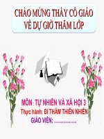 TNXH - Tuần 28: Thực hành đi thăm thiên nhiên