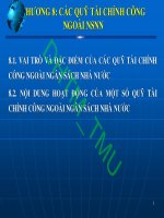 Bài giảng Tài chính công: Chương 8 - ĐH Thương Mại