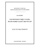 Luận văn Thạc sĩ Kinh tế: Giải pháp hoàn thiện văn hóa doanh nghiệp tại Quỹ trợ vốn CEP