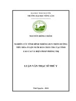 Nghiên cứu tình hình nhiễm giun tròn đường tiêu hóa ở lợn nuôi bán chăn thả tại tỉnh lào cai và biện pháp phòng trị 