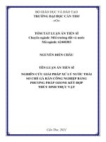 Nghiên cứu giải pháp xử lý nước thải sơ chế gà rán công nghiệp bằng phương pháp ozone kết hợp thủy sinh thực vật TT 