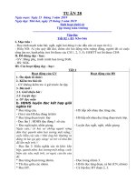 Giáo án lớp 2 Tuần 28