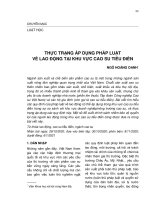 Thực trạng áp dụng pháp luật về lao động tại khu vực cao su tiểu điền