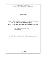 Dự thảo tóm tắt Luận án Tiến sĩ Khoa học môi trường: Nghiên cứu mô phỏng sự phát thải khí nhà kính (CH4, N2O) trong môi trường đất lúa lưu vực sông Vu Gia – Thu Bồn, tỉnh Quảng