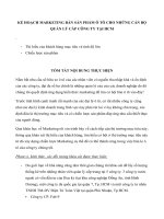 Kế hoạch marketing bán sản phẩm ô tô cho những cán bộ quản lý cấp công ty tại HCM 