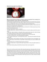 Nhung tac dung tuyet voi cua Mang cut