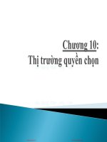 Bài giảng Định chế tài chính - Chương 10: Thị trường quyền chọn