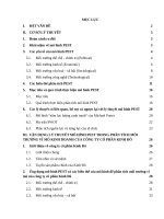 Phân tích mô hình PEST