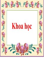 phong mot so benh lay qua duong tieu hoa