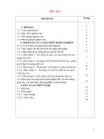 Một số biện pháp ứng dụng công nghệ thông tin trong dạy học ở trên lớp và ở nhà trong mùa dịch bệnh covid – 19 ở trường tiểu học minh tiến – ngọc lặc  