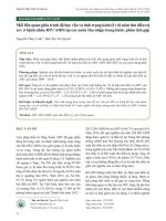 Mối liên quan giữa trình độ học vấn và tình trạng kinh tế với tuân thủ điều trị ARV ở bệnh nhân HIV/AIDS tại các nước thu nhập trung bình: Phân tích gộp