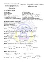 Đề cương ôn tập học kì 2 môn Toán lớp 11 năm 2019-2020 - Trường THPT Thượng Cát