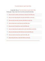 Trọn bộ 9 giáo án sách cánh diều 