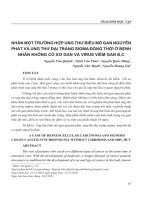 Nhân một trường hợp ung thư biểu mô gan nguyên phát và ung thư đại tràng sigma đồng thời ở bệnh nhân không có xơ gan và virus viêm gan B,C