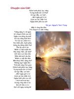 Chuyen cua Cat