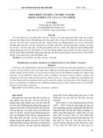 Nhận diện văn hóa, văn học Nam Bộ trong nghiên cứu của Ca Văn Thỉnh