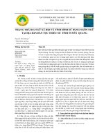 Trạng thái đa ngữ xã hội và tình hình sử dụng ngôn ngữ tại địa bàn dân tộc thiểu số tỉnh Tuyên Quang