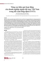 Nâng cao hiệu quả hoạt động của doanh nghiệp ngành dệt may Việt Nam trong bối cảnh hiệp định EVFTA