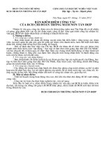 ban kiem diem dai hoi chi doan