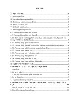 skkn vận dụng phương pháp dạy học tích cực theo định hướng phát triển phẩm chất năng lực học sinh trong dạy học bài 5 thường thức phòng tránh một số loại bom đạn và thiên tai 