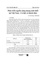 Phát triển nguồn năng lượng sinh khối tại Việt Nam - Cơ hội và thách thức