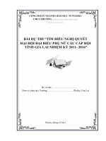 BAI DU THI TIM HIEU NGHI QUYET DAI HOI DAI BIEUPHU NU CAC CAP TINH GIA LAI 20112016