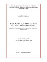 Biến đổi xã hội   kinh tế   văn hóa người nùng ở đồng nai (nghiên cứu trường hợp người nùng ở huyện thống nhất   tỉnh đồng nai)     