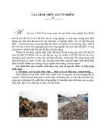 Bai Thuc Hanh 12 CAC HINH THUC GAY O NHIEM