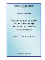 Chiến lược quản lý rủi ro của người nghèo tại thành phố hồ chí minh (nghiên cứu trường hợp tại phường 15, quận gò vấp, thành phố hồ chí minh)     