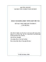 Nghiên cứu tổng hợp các hạt nano phát quang znse znse x (x có thể là mn, ag, cu), znsex (2) 