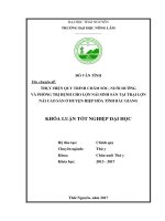 Thực hiện qui trình chăm sóc nuôi dưỡng và phòng trị bệnh cho lợn nái sinh sản tại trại lợn nái cao sản ở huyện hiệp hòa tỉnh bắc giang 