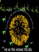 TAP DOC TRANH LANG HO