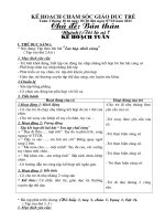 GIAO AN NAM HOC 20112012