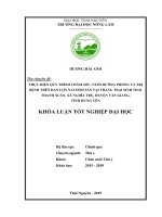 Thực hiện quy trình chăm sóc nuôi dưỡng phòng và trị bệnh trên đàn lợn nái sinh sản tại trang trại sinh thái thanh xuân xã nghĩa trụ huyện văn giang tỉnh hưng yên 