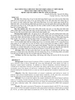 Đặc điểm thay đổi dẫn truyền điện sinh lý trên bệnh nhân mắc hội chứng ống cổ tay Bệnh viện Đa khoa Trung tâm An Giang