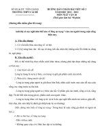 Huong dan cham Bai viet so 3 lop 10 nam 2012