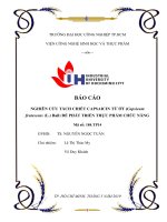 Nghiên cứu tách chiết capsaicin từ ớt ( capsicum frutescens ( l ) bail) để phát triển thực phẩm chức năng 