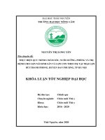 Thực hiện quy trình chăm sóc nuôi dưỡng phòng và điều trị bệnh cho lợn nái sinh sản và lợn con theo mẹ tại trại bùi thanh phong huyện đan phượng thành phố hà nội 